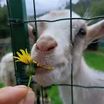 A Ca Du Giaba