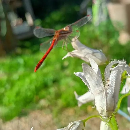 A Ca Du Giaba Cisano sul Neva
