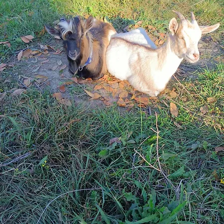 A Ca Du Giaba Cisano sul Neva