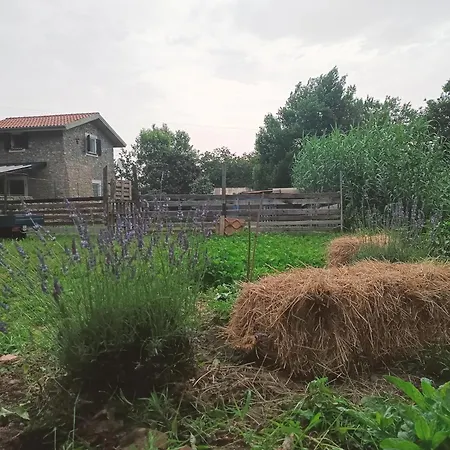 A Ca Du Giaba Apartament Cisano sul Neva