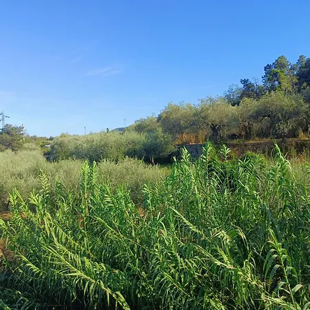 A Ca Du Giaba Apartmán