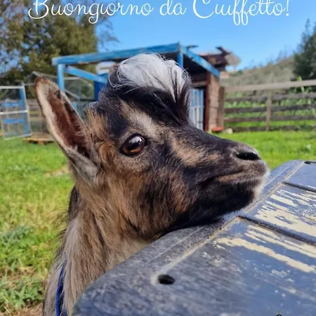 Apartmán A Ca Du Giaba