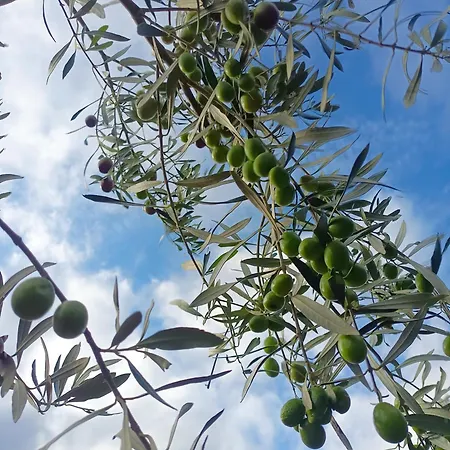 Apartmán A Ca Du Giaba *