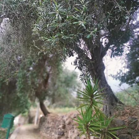 아파트 A Ca Du Giaba *