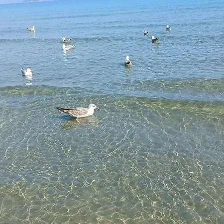 A Ca Du Giaba *