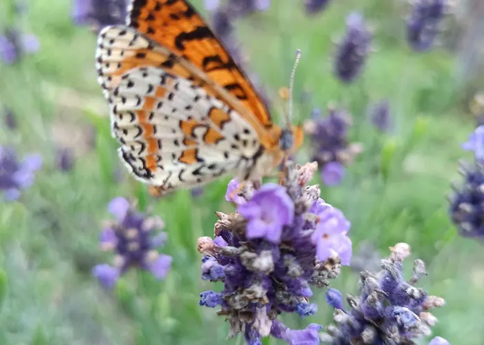 A Ca Du Giaba Cisano sul Neva