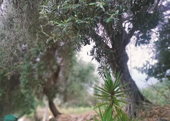 Appartement A Ca Du Giaba *