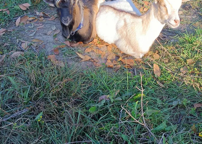 A Ca Du Giaba Cisano sul Neva