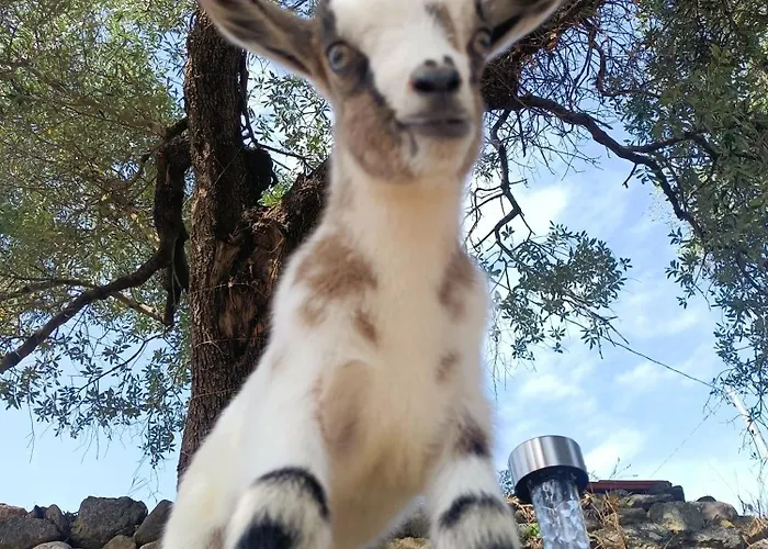 A Ca Du Giaba Appartement