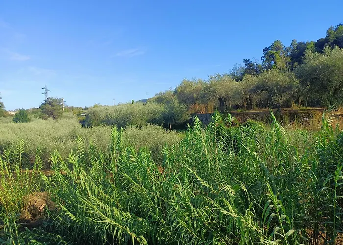 A Ca Du Giaba Appartement