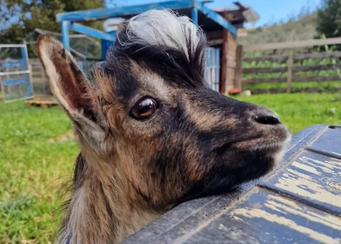 Appartement A Ca Du Giaba