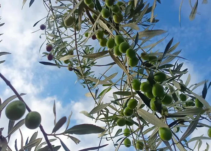 Appartement A Ca Du Giaba *